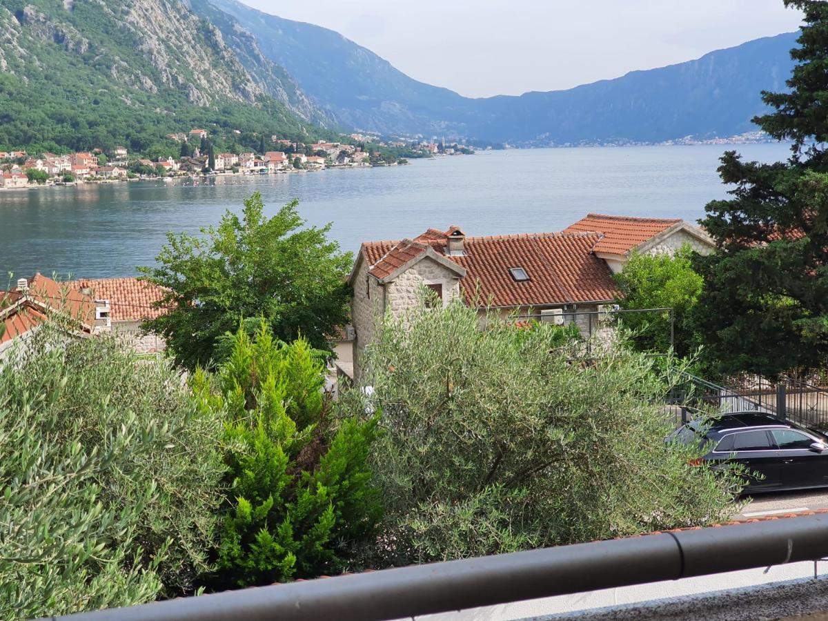Gemma Di Cattaro Apartments Εξωτερικό φωτογραφία